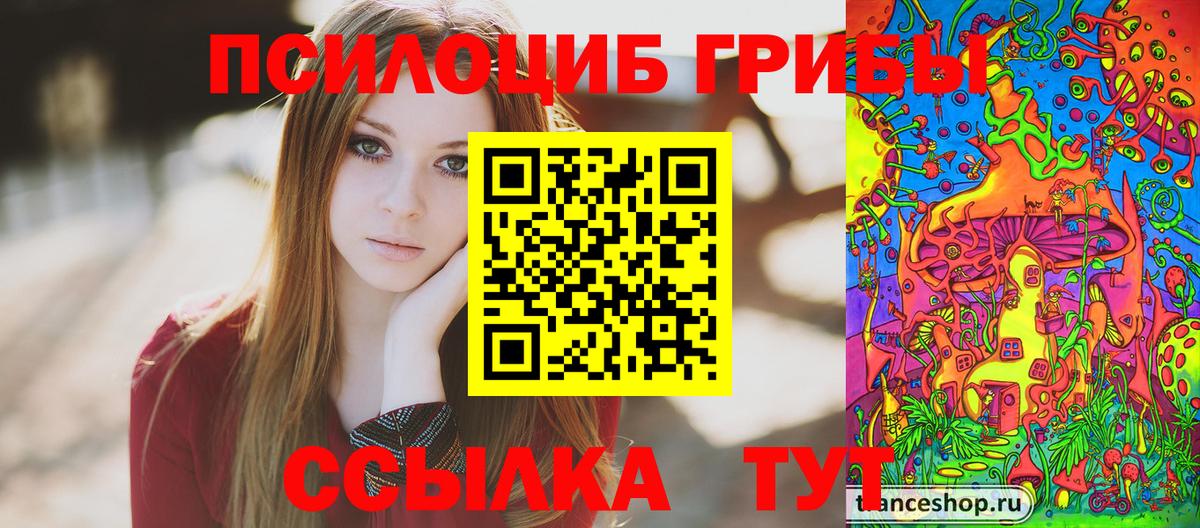 Псилоцибиновые грибы мицелий Тобольск