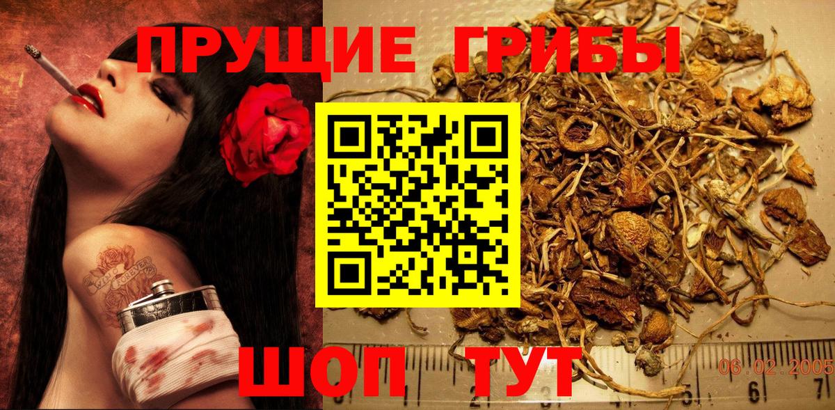 где можно купить   Галлюциногенные грибы Magic Shrooms  Тобольск  Вход с VPN  Псилоцибиновые грибы Magic Shrooms 